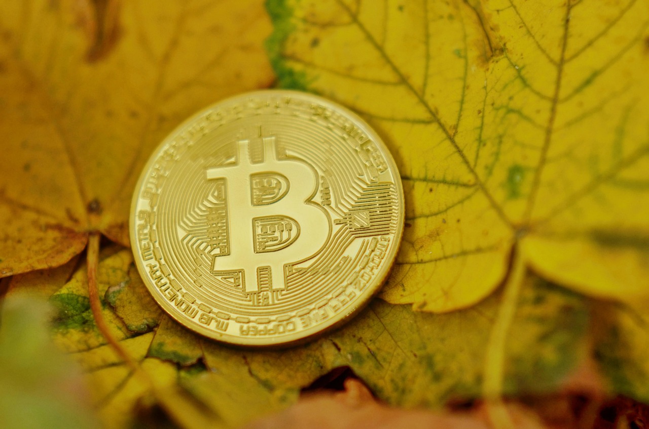 传Circle、BitGo等欲申请银行执照！稳定币发行商将成为加密货币银行？